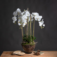 Load image into Gallery viewer, LARGE WHITE ORCHID IN A GLASS BOWL